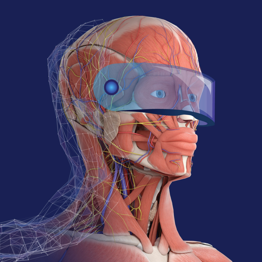 3D-ORGANON